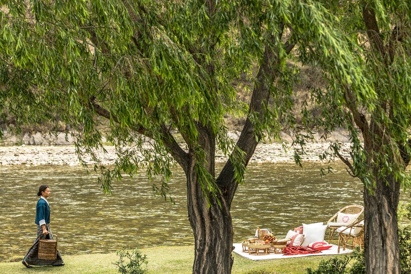 A picnic laid out on rugs beside a river, under willow trees
