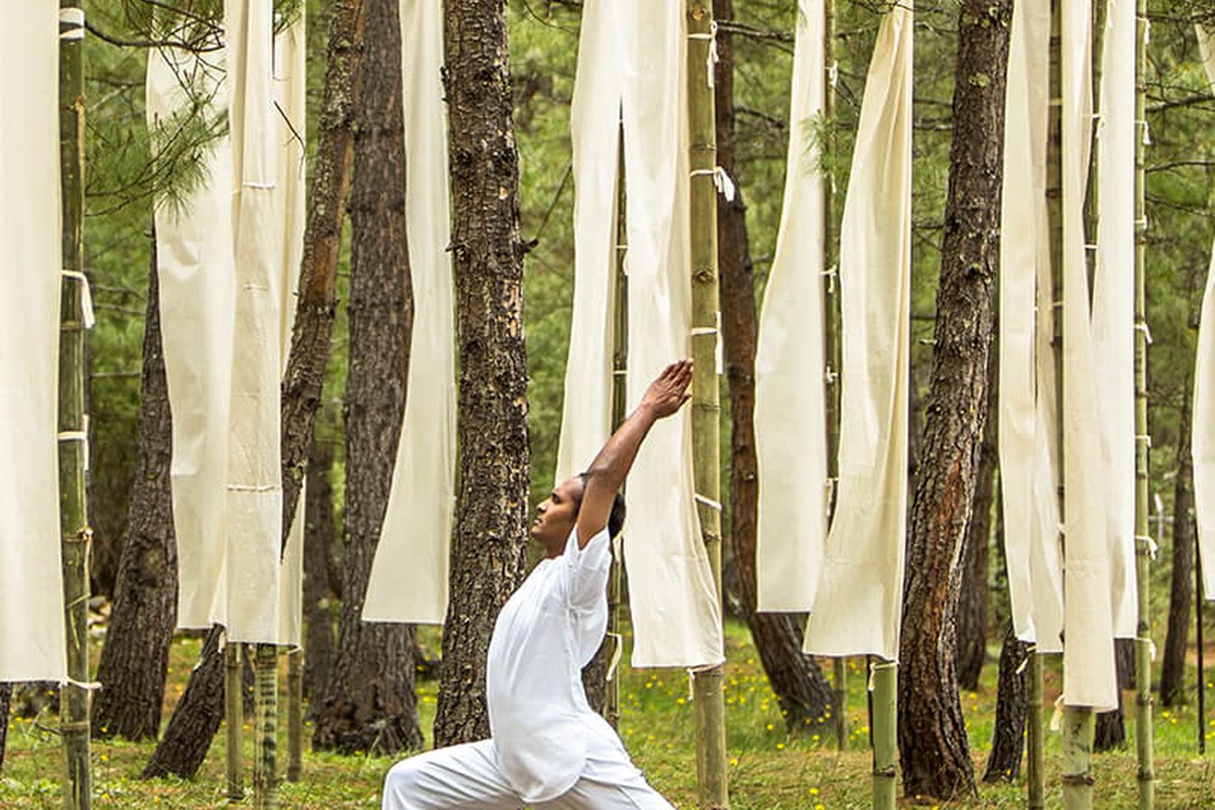 A woman practising yoga on grass between tall white prayer flags in a pine forest