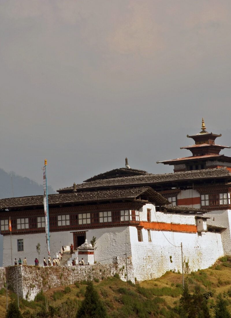 Punakha Dzong surrounded by lilac jacaranda blossoms