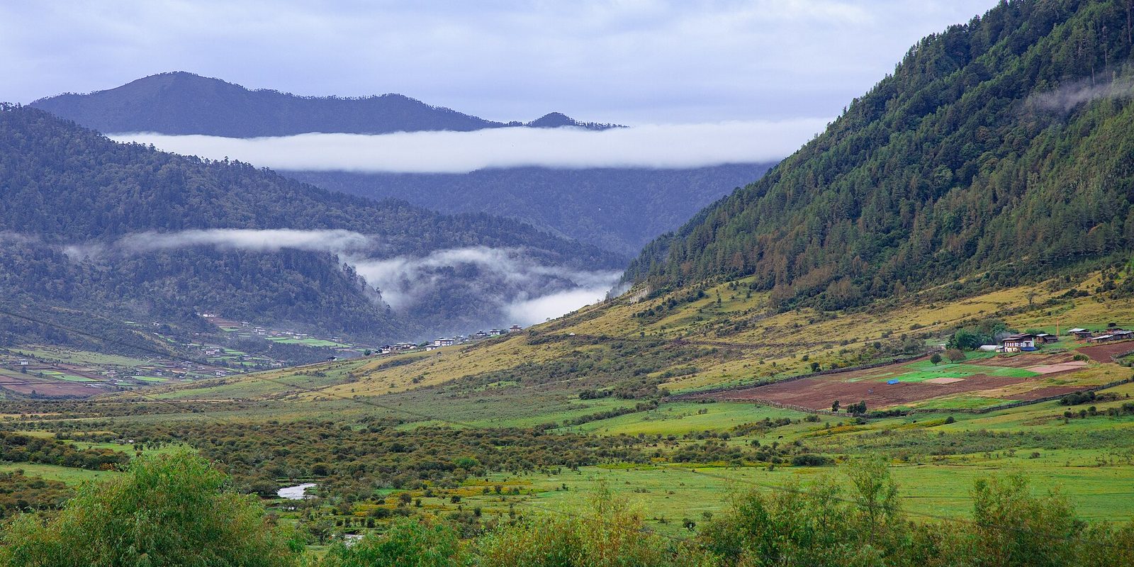 Morning cloud lying along the floor of a cultivated Bhutanese valley, with forested ridges above