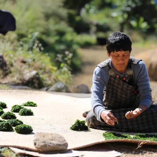 Paro Bazaar Feature Image